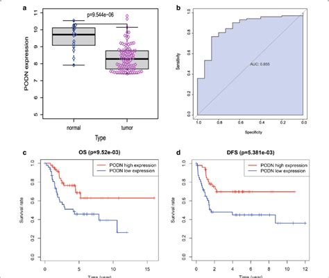 podn|Tissue expression of PODN .